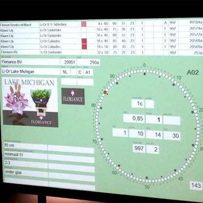 De digitale veilingklok in Aalsmeer waar de lelies verhandeld worden