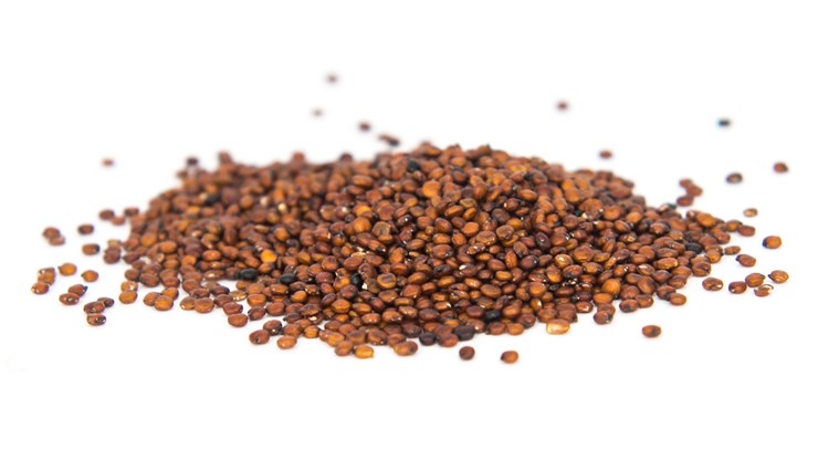 Mundo-Supply-Quinoa-red-1