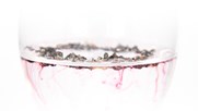 Mundo-Supply-Cochineal-3