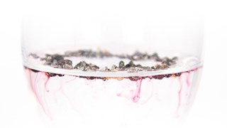 Mundo-Supply-Cochineal-3