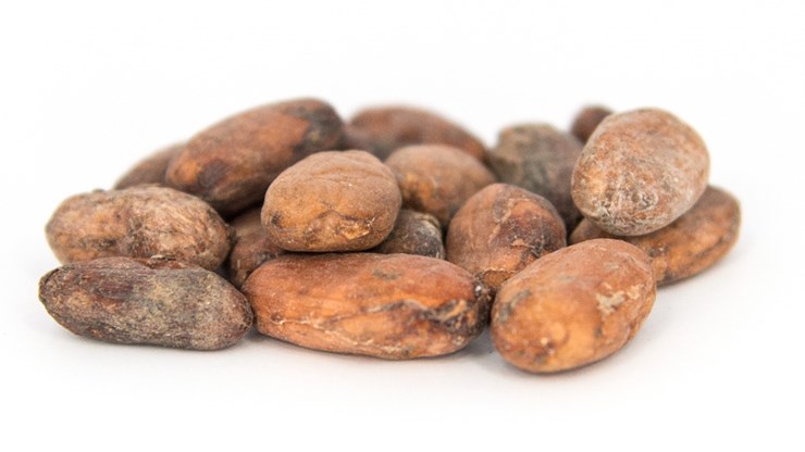 Mundo-Supply-Cocoa-Beans-1